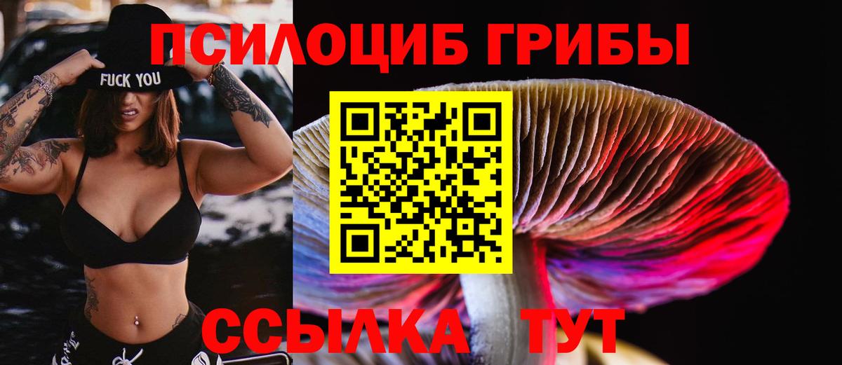 Псилоцибиновые грибы ЛСД  Вход с VPN  Ревда 