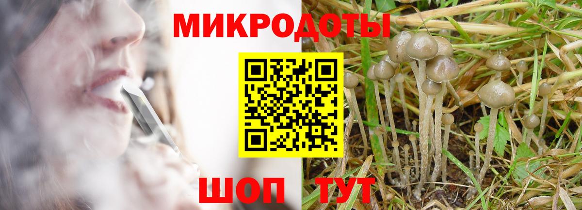 Галлюциногенные грибы ЛСД Ревда